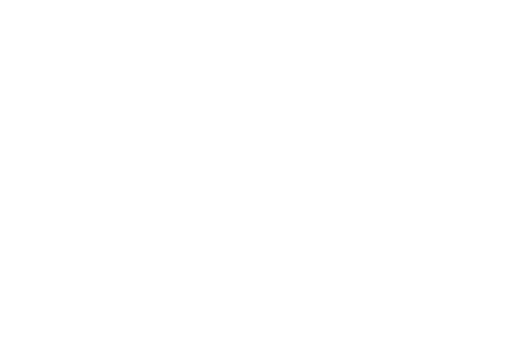 The 360 Experience