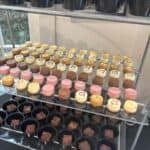 Rows of assorted mini desserts, including cheesecakes and chocolate squares, are arranged on clear shelves next to black plastic bowls.
